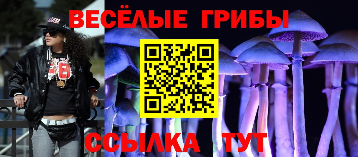 Галлюциногенные грибы мицелий  Вход с VPN  Гусиноозёрск 