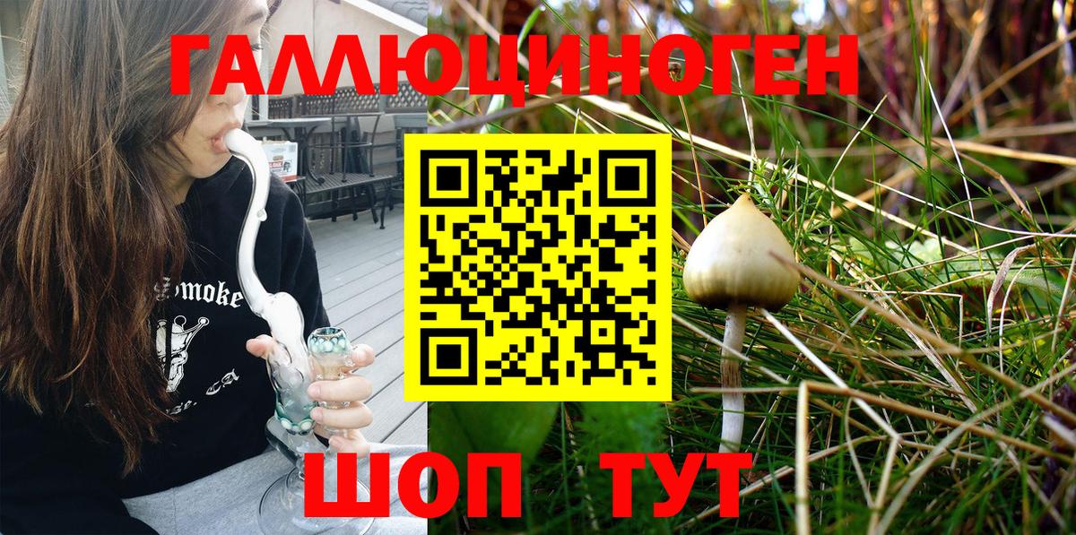 Псилоцибиновые грибы MAGIC MUSHROOMS Гусиноозёрск